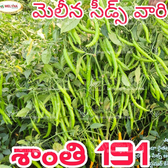 MELYNA SANTHI 191 slider image 10