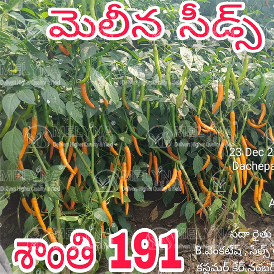 MELYNA SANTHI 191 slider image 6