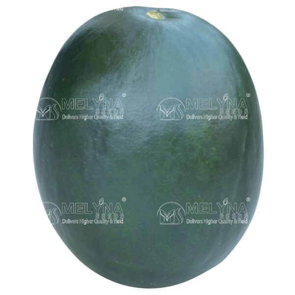 MELYNA SAROJA 887 slider image 1