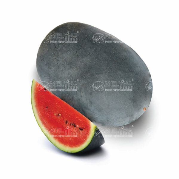 MELYNA SIRI 810 slider image 1