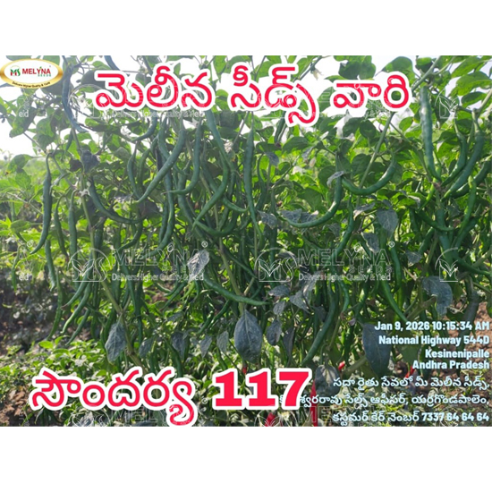 MELYNA SOUNDARYA 117 slider image 1