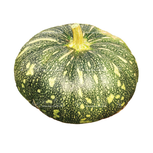 MELYNA SRIDEVI 1496 slider image 1