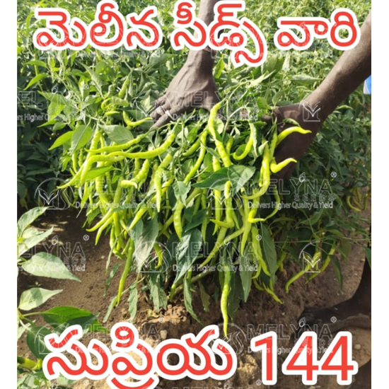 MELYNA SUPRIYA 144 slider image 1