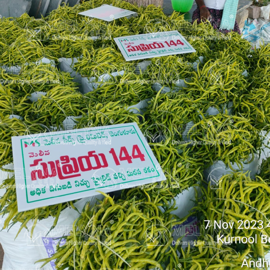 MELYNA SUPRIYA 144 slider image 5