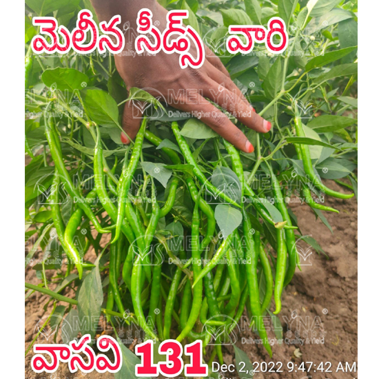 MELYNA VASAVI 131 slider image 4