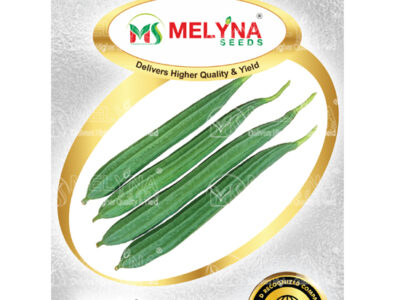 MELYNA SEEMA 660