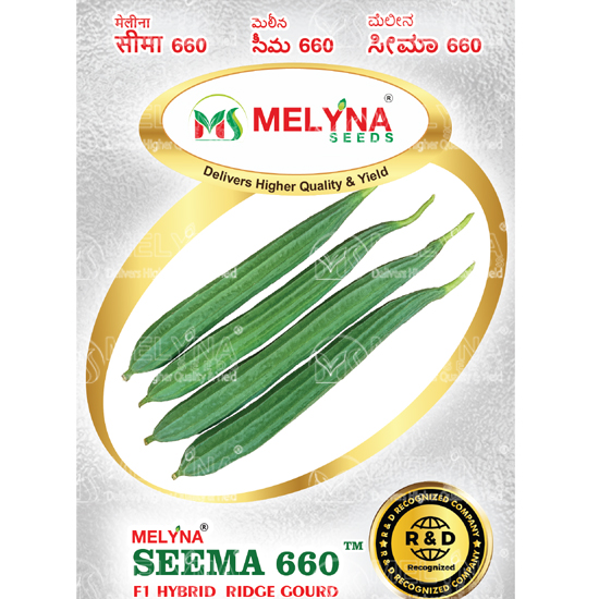 MELYNA SEEMA 660 slider image 1