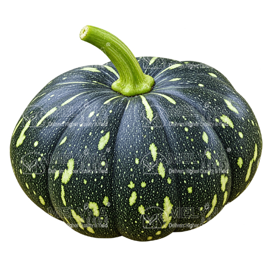 MELYNA SONA 1455 slider image 1