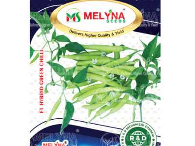 MELYNA YAMUNA 188